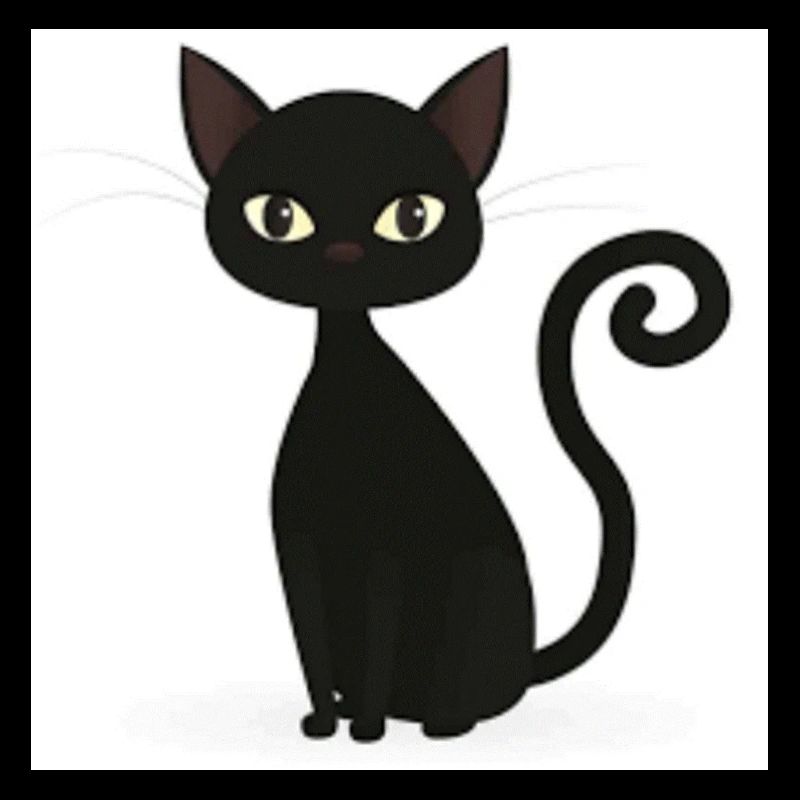 chat noir