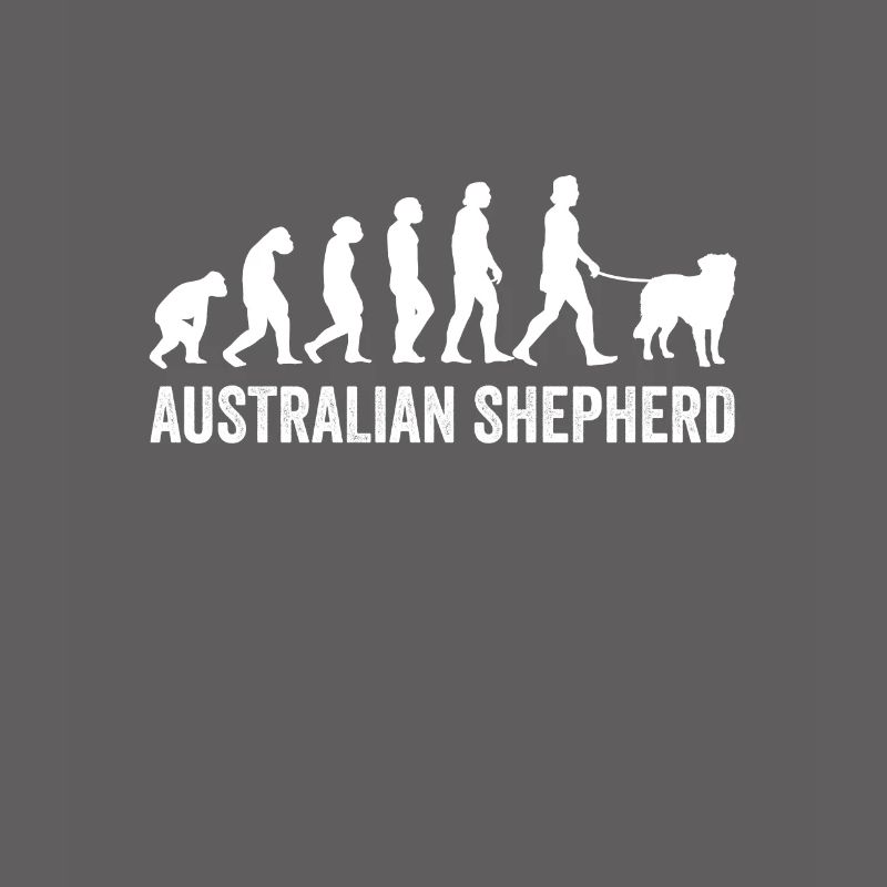Australian Shepherd Evolution