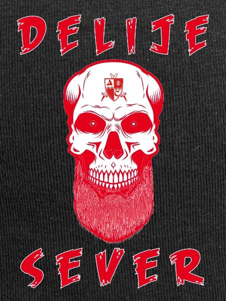Delije Sever 1989b