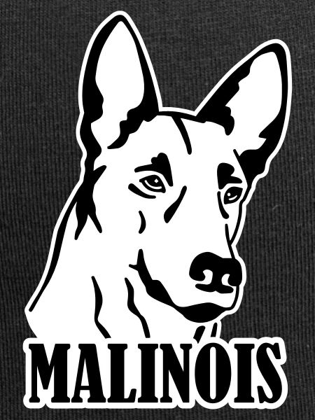 malinois
