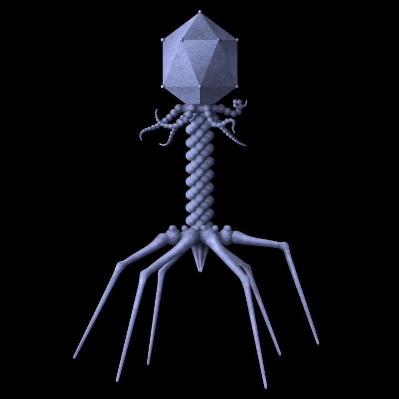 Phage