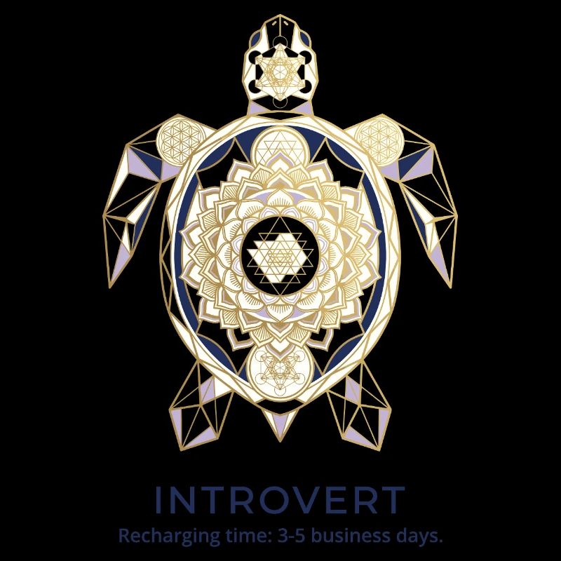 Geometric Turtle Mandala Introvert