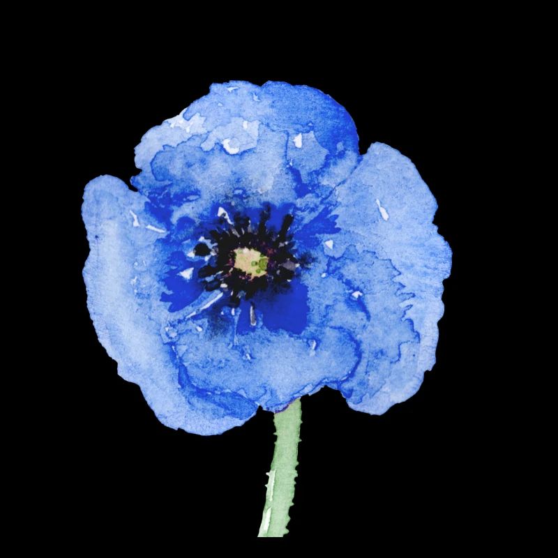 fleur