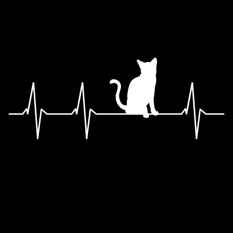 les chats aiment