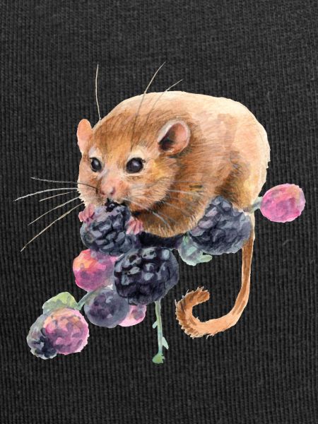 Hazel dormouse