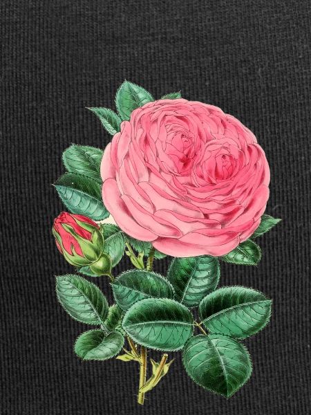 Rosen-Anlage