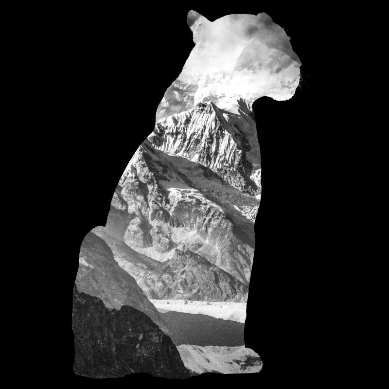 Schneeleopard