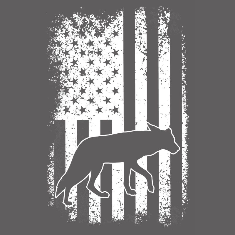 Conception de coyote pour les réacteurs de coyote