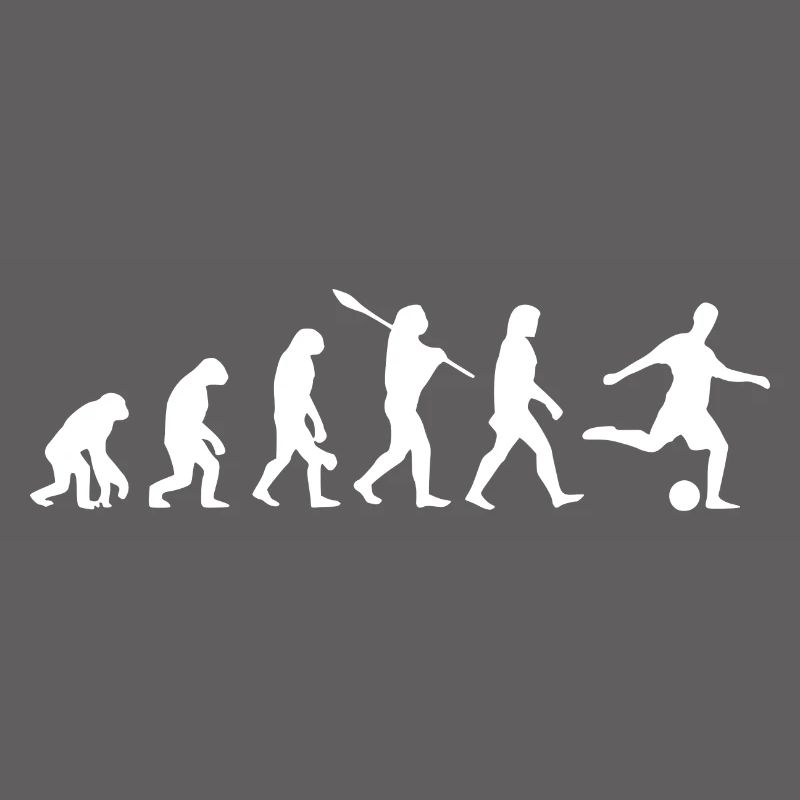 Fussball Evolution