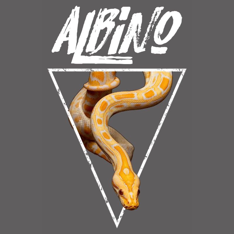 Propriétaire de serpent Python birman