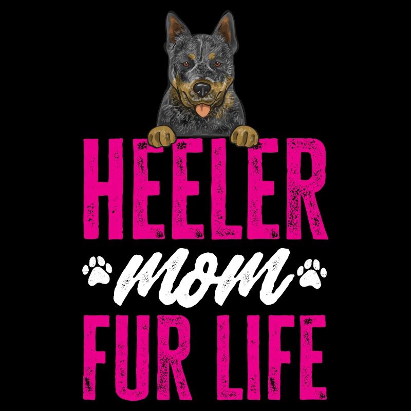 Bouvier australien Red Blue Heeler
