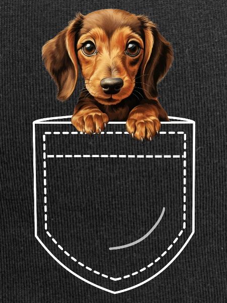 Chien Teckel Teckel