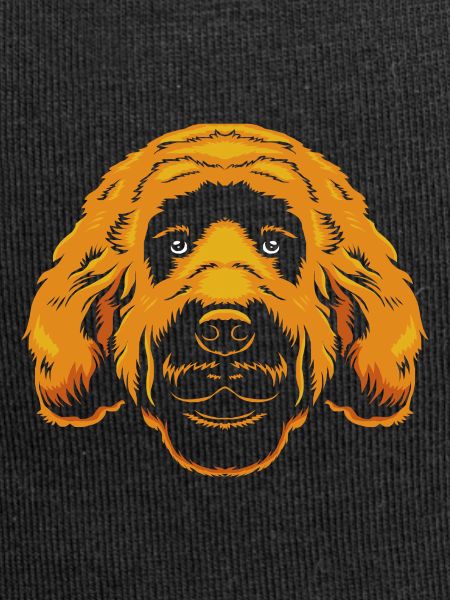 Goldendoodle