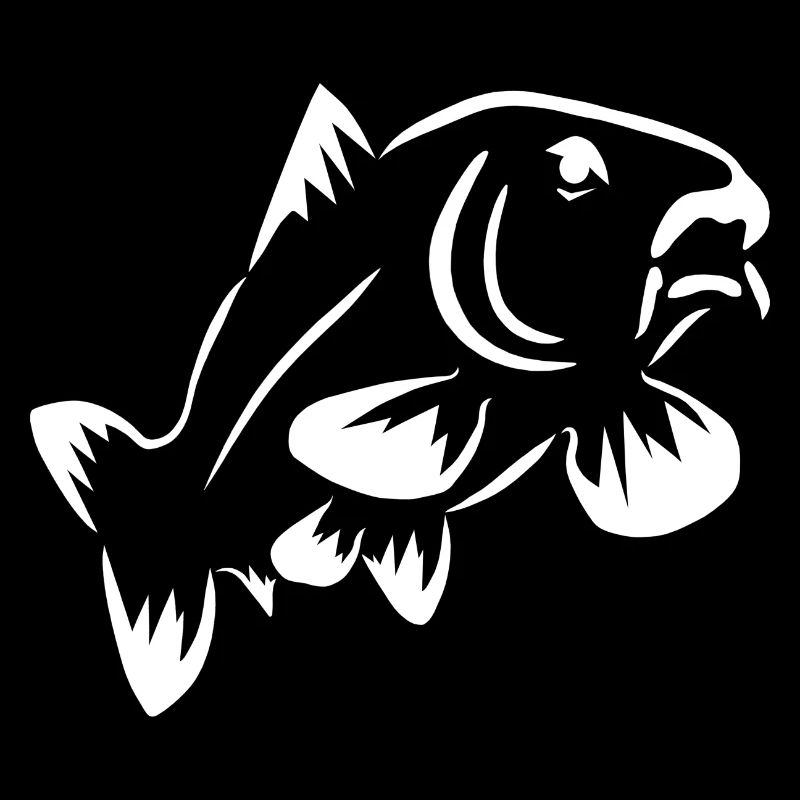 Carpes de poisson dessin