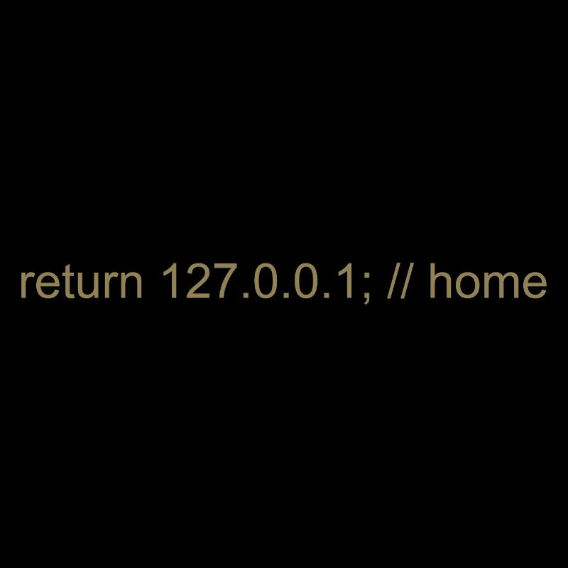 Programmer Nerd IT Joke Developer Home