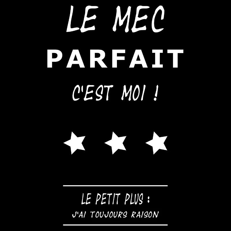 Le mec parfait