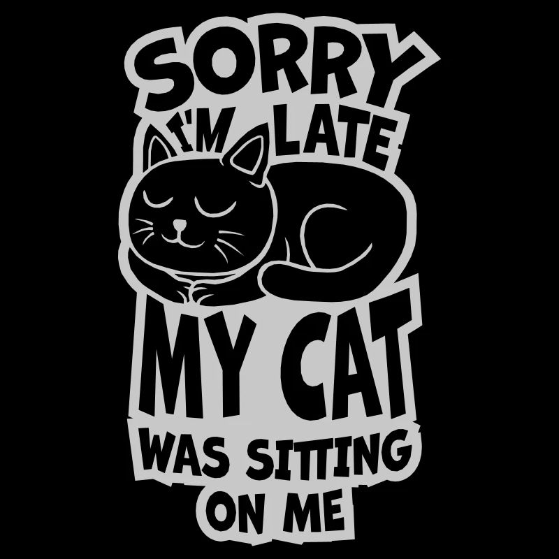 désolé chat était assis