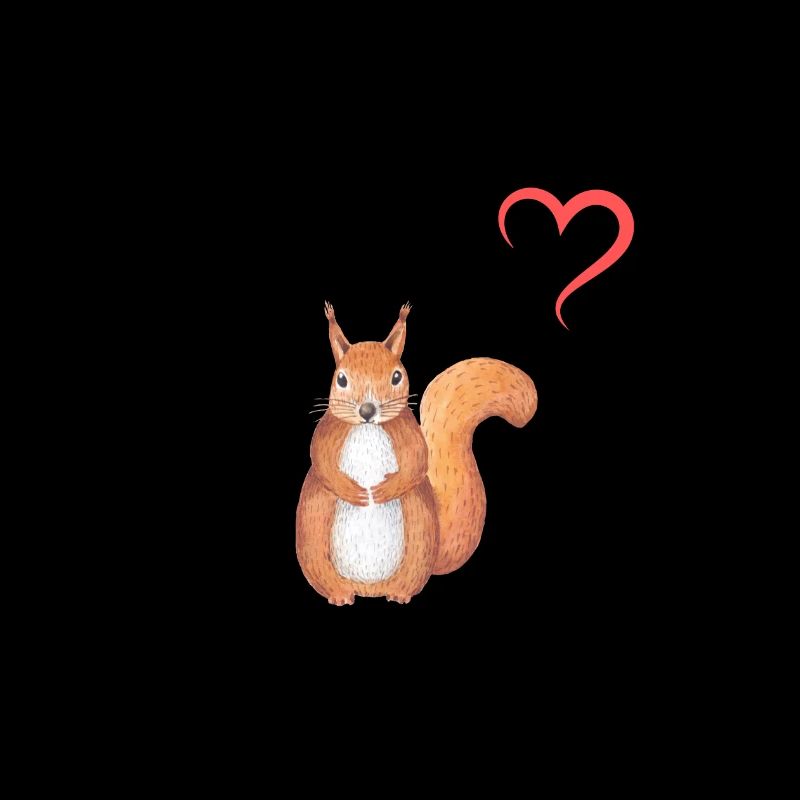 Frau Mädchen Liebe Herz Eichhörnchen