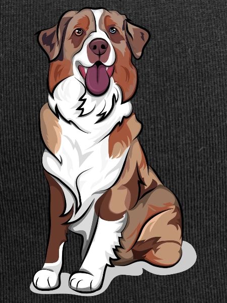 AUSTRALIAN SHEPHERD complete redmerle