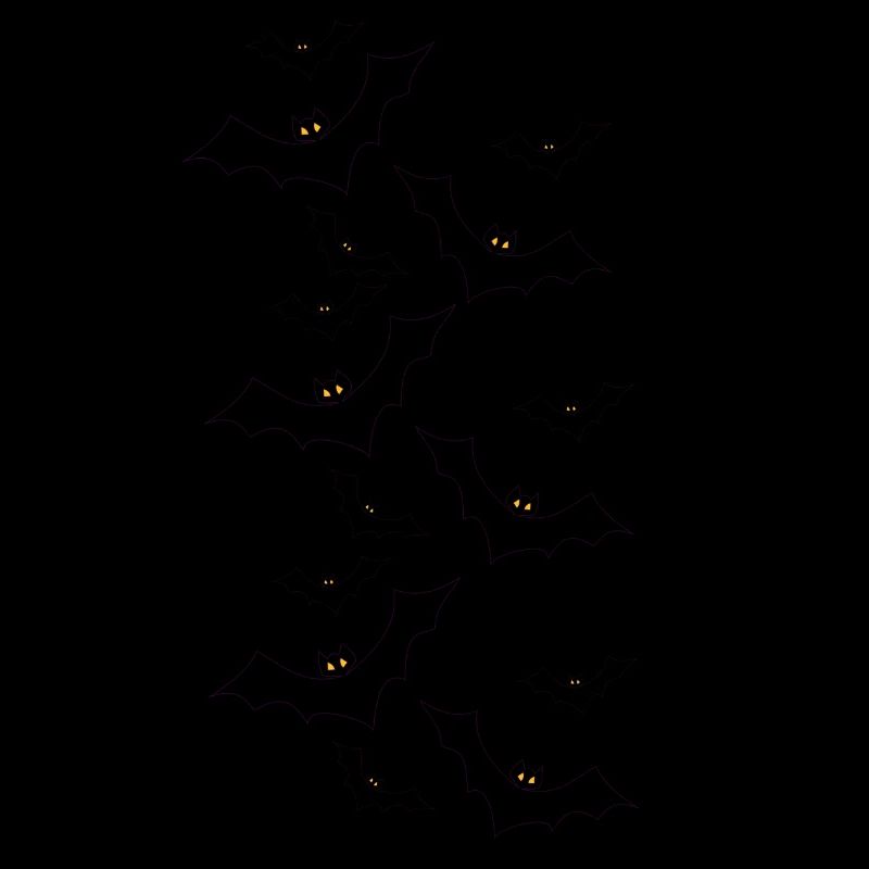Fledermäuse