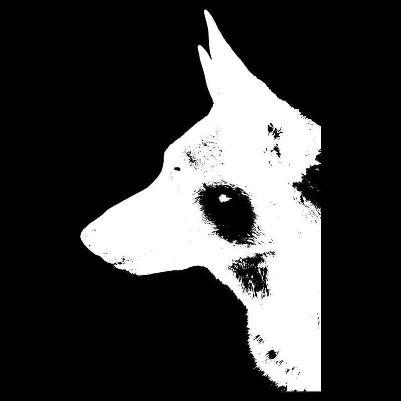 Deutscher Schäferhund - Mein Bester Freund - Tiere