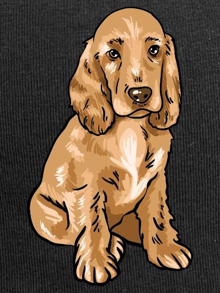 Cocker Spaniel
