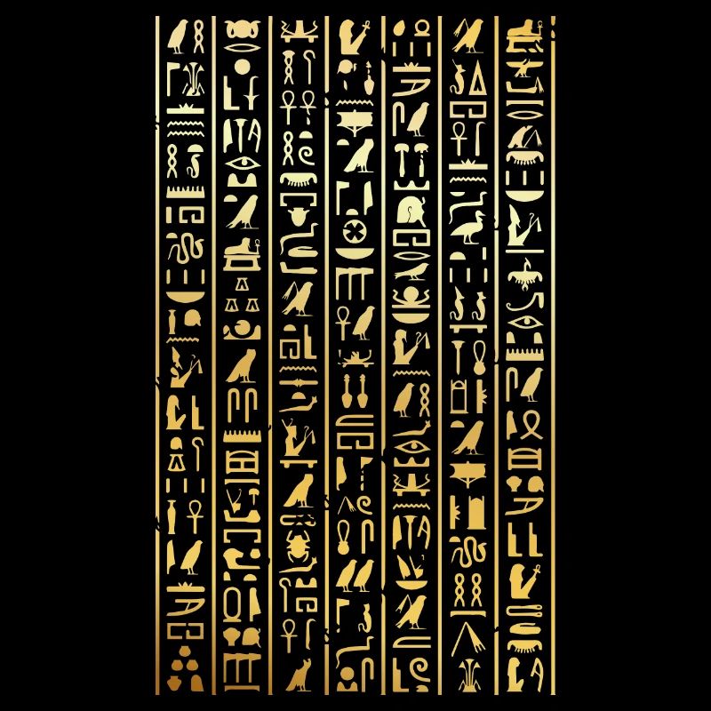 hieroglyphics Design for an old egypt enthusiast