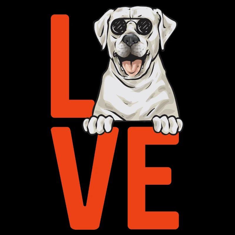 Labrador Retriever blanc Labrador Labrador blanc