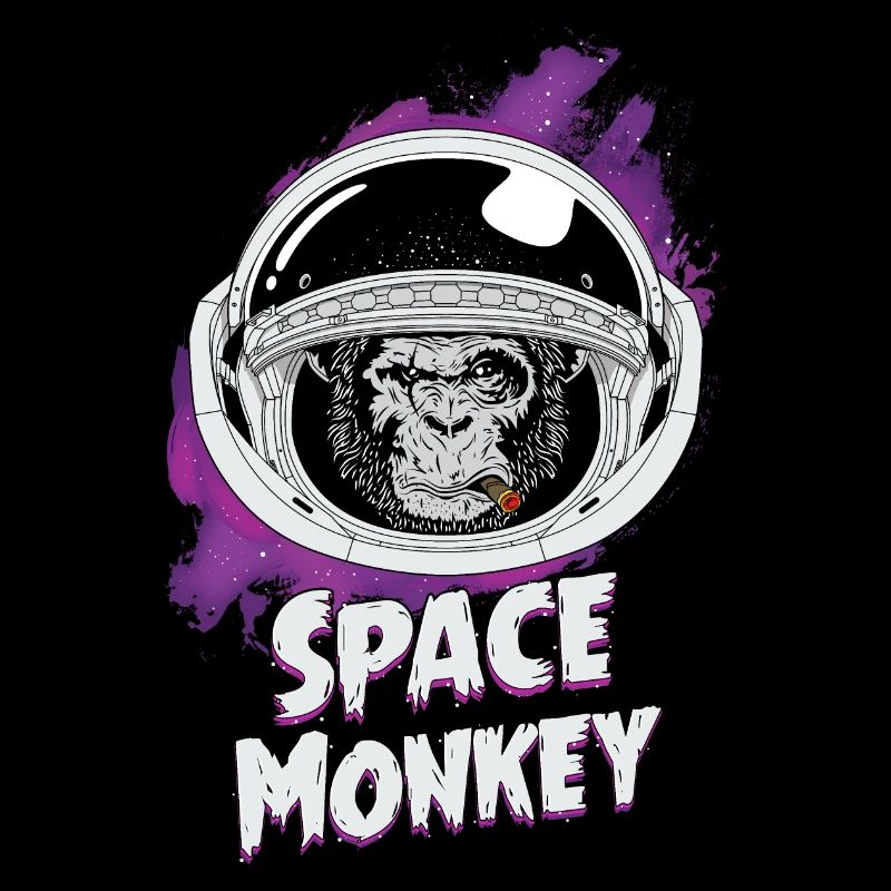 Vintage space monkey