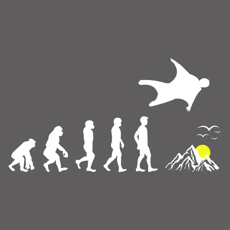 Wingsuit flying Base Jumping Skydiving Evolution