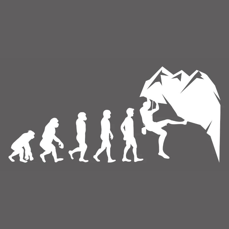 Klettern Boulder Wall Climber Evolution