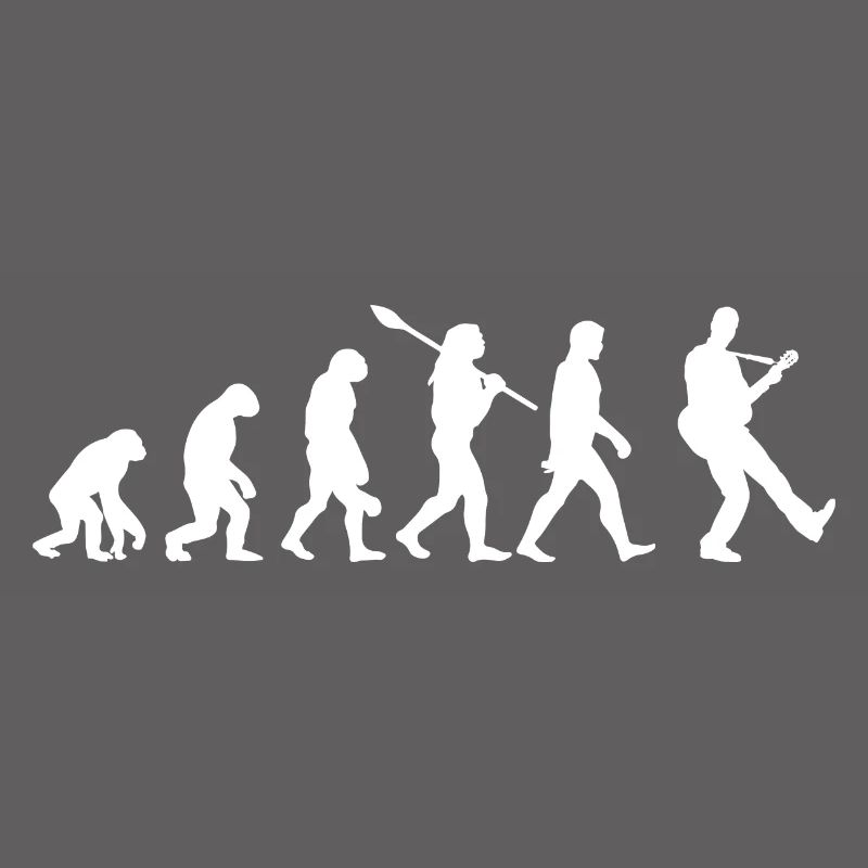 Guitare évolution