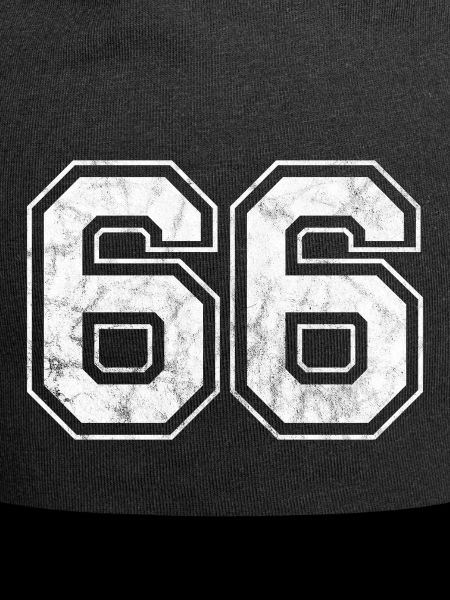 Number 66