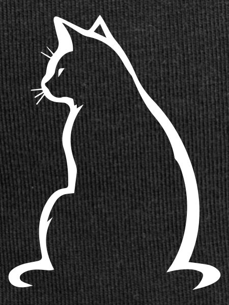 Katze