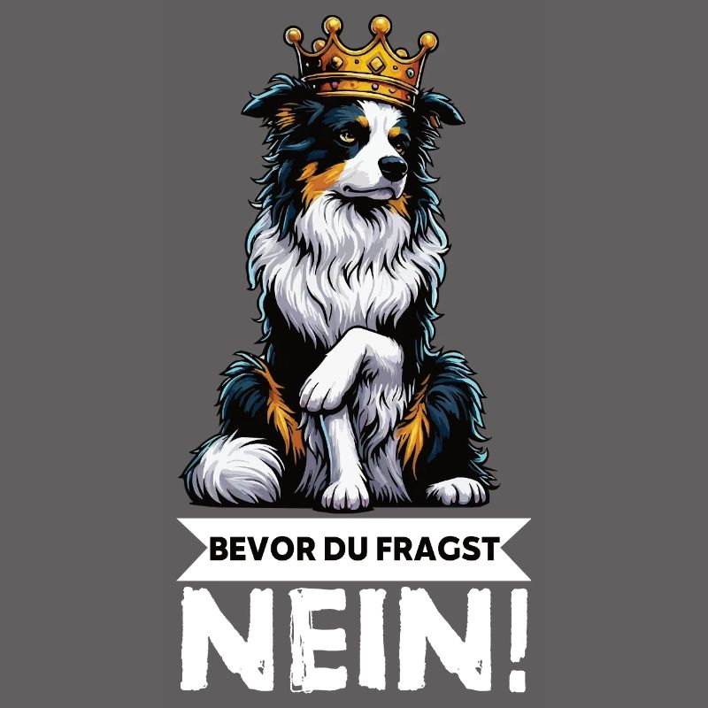 Bevor Du Fragst Australian Shepherd Aussie Aussie