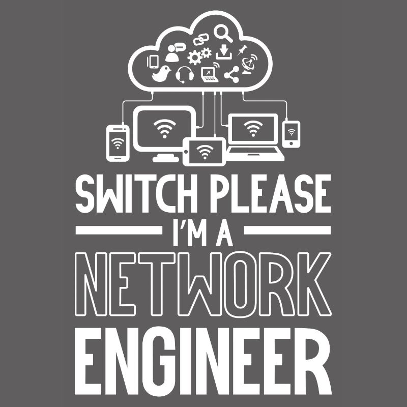 Switch Please I'm A Network Engineer IT Tech