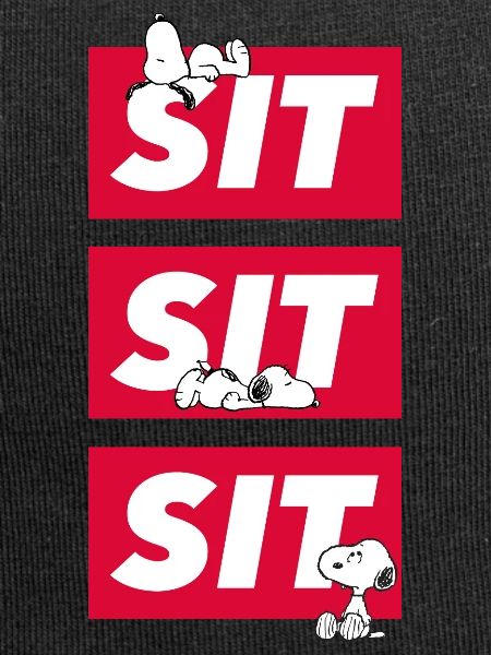 Peanuts Snoopy Sit Sit Sit