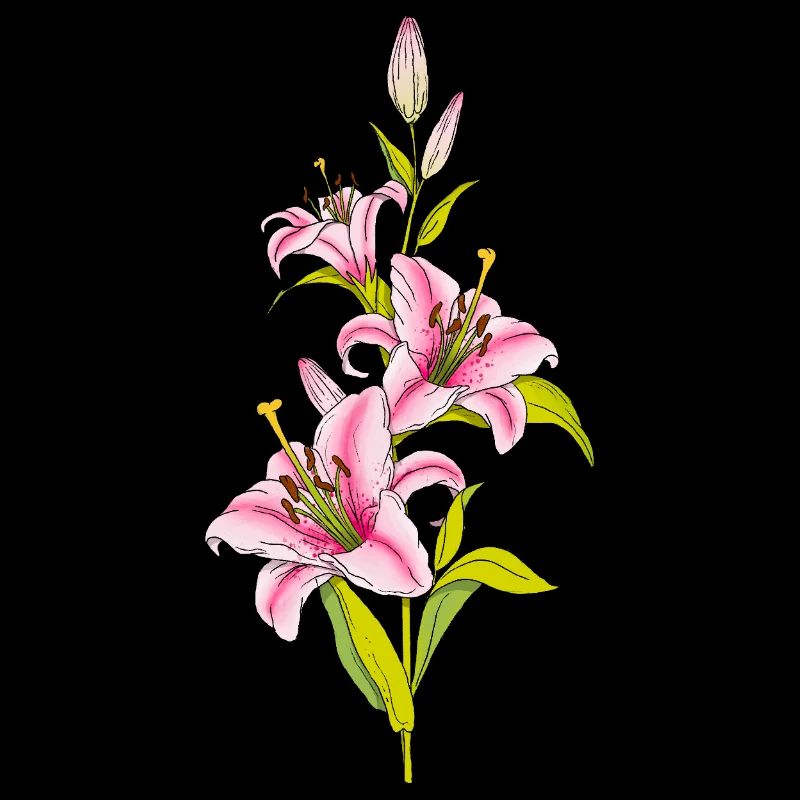 Lys
