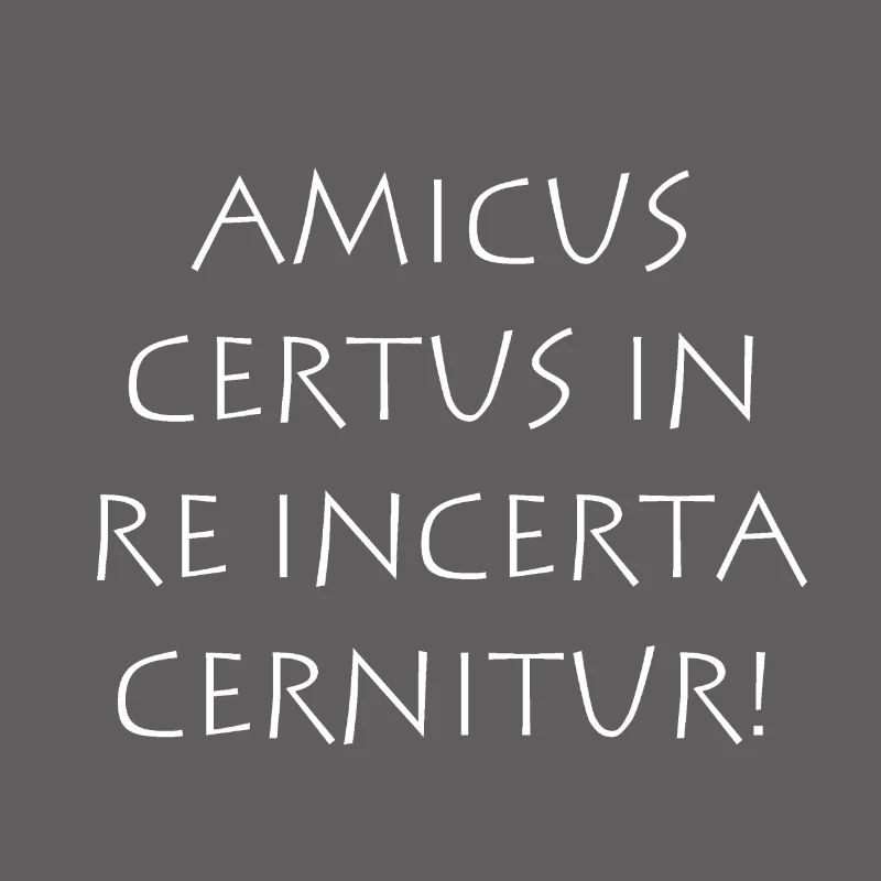 Amicus certus in re incerta cernitur