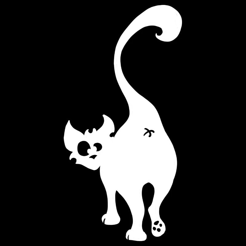 Fesses de Chat