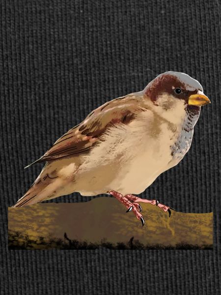 Spatz