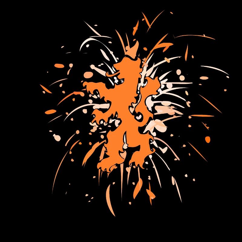 lion the netherlands fireworks 2
