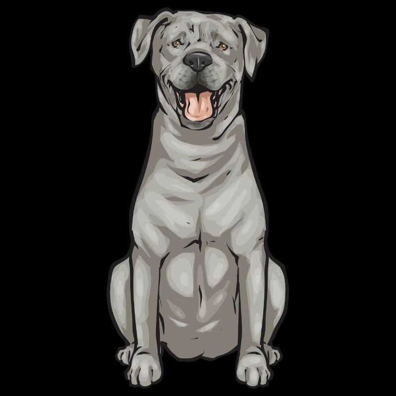 Silver Labrador Retriever Silver Lab