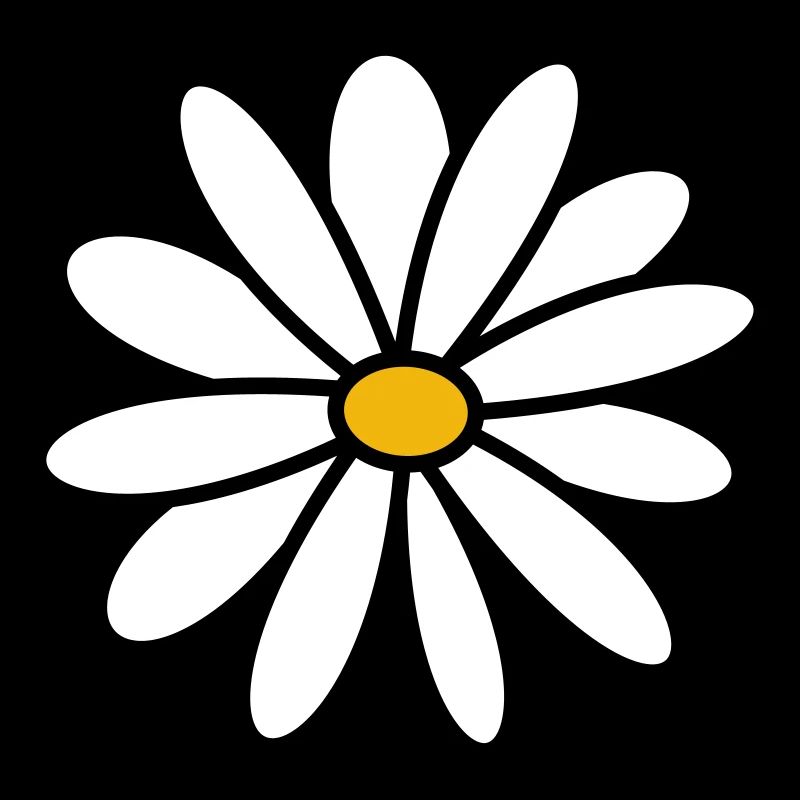 Gänseblümchen