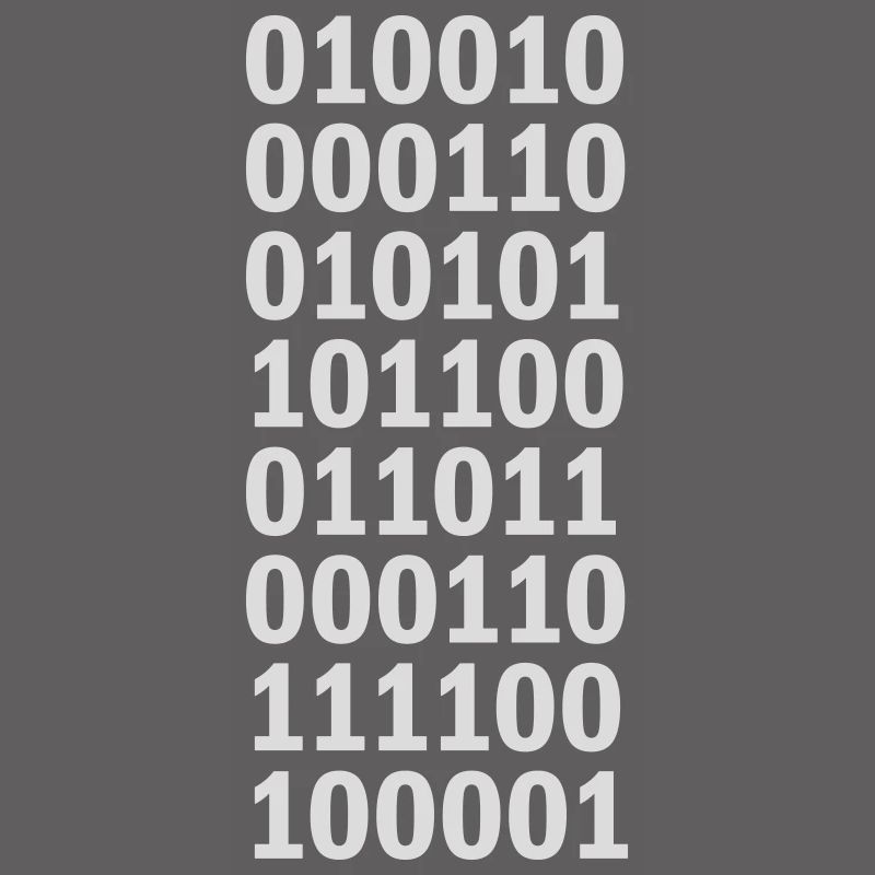 Binary Code Program Language