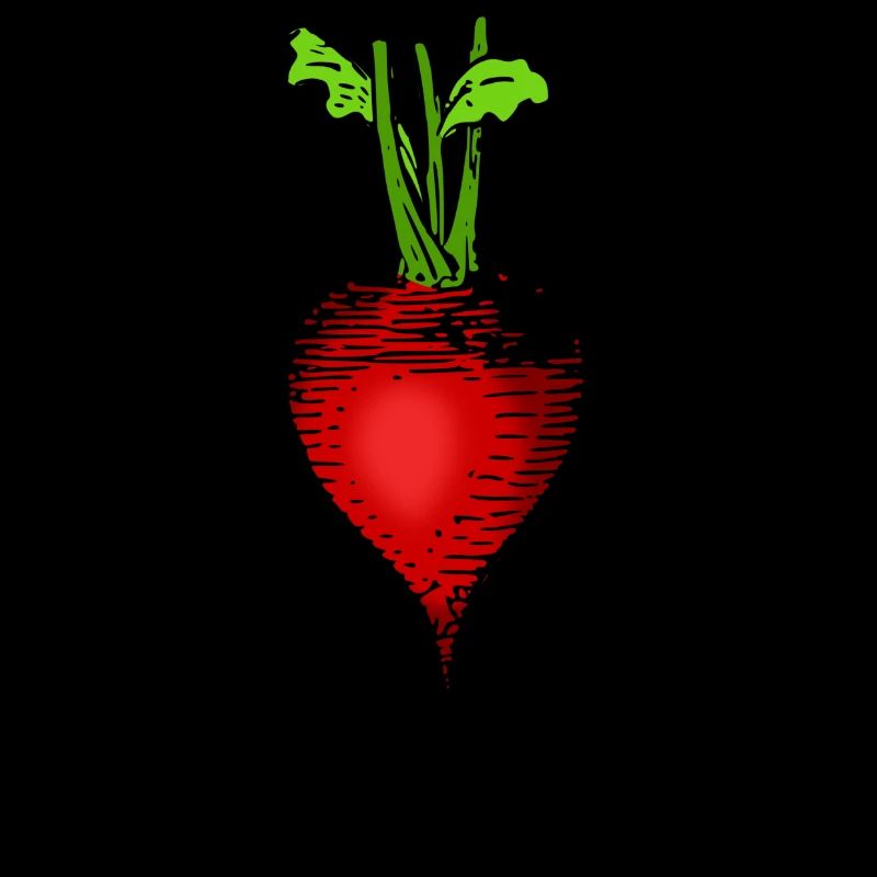 rettich radieschen radish veggie gemuese vegetable