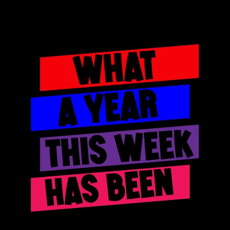What A Year This Week Has Been 3