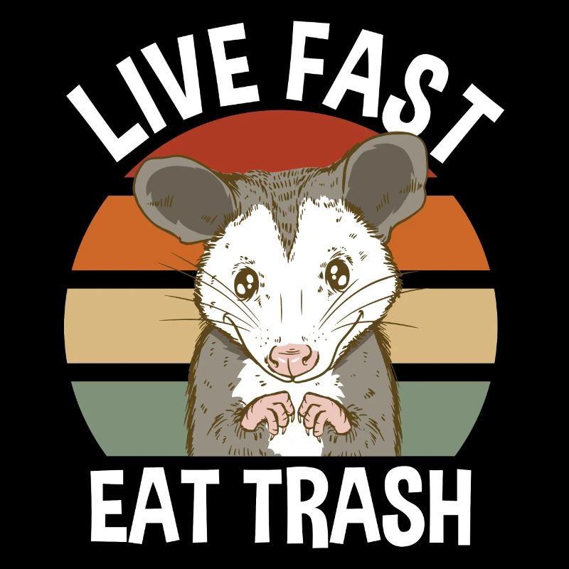 Opossum Trash Opossum Retro