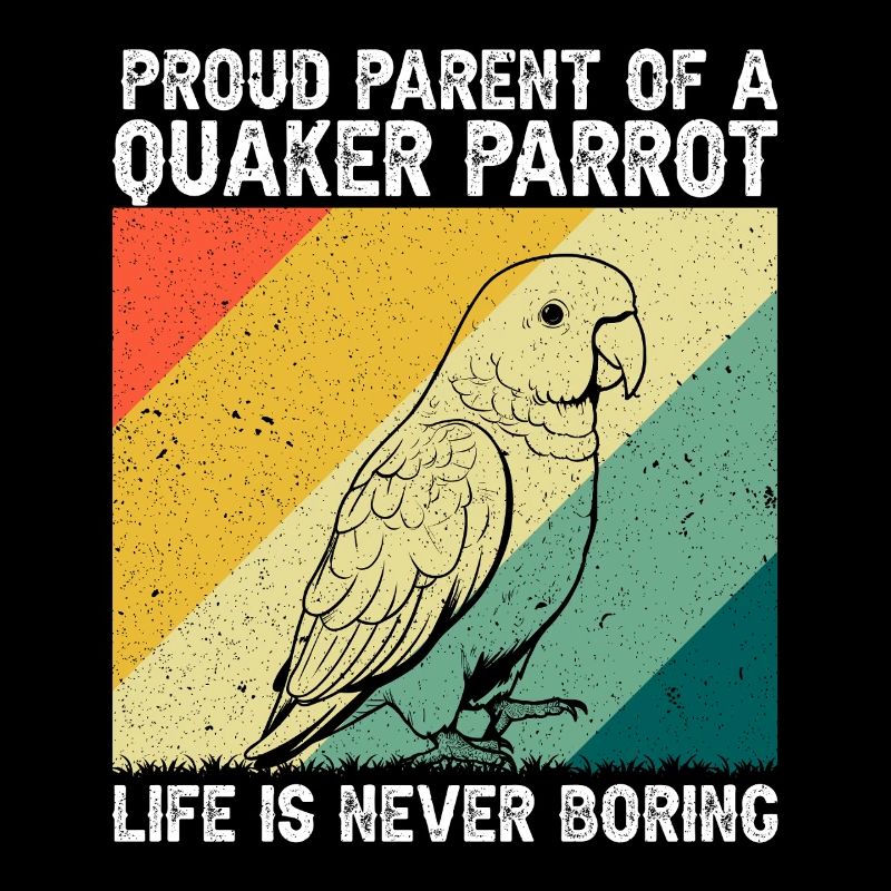 Moine vert Acteur Quaker Conure Perroquets