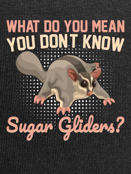 Sugar glider